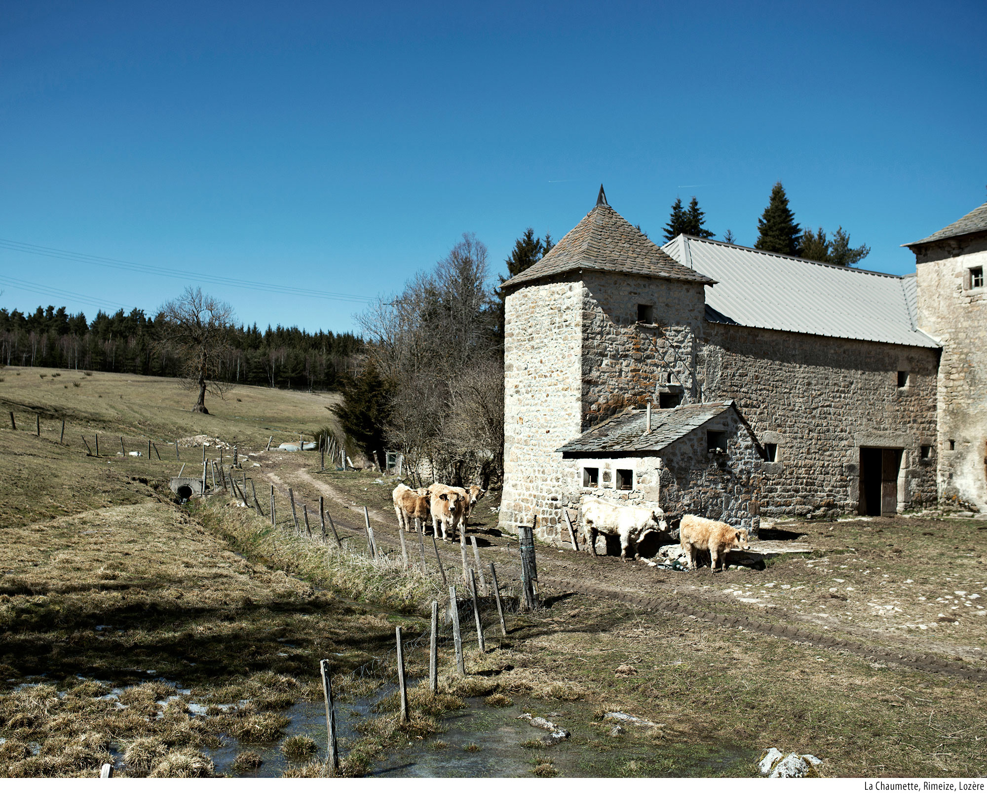 Lozere1