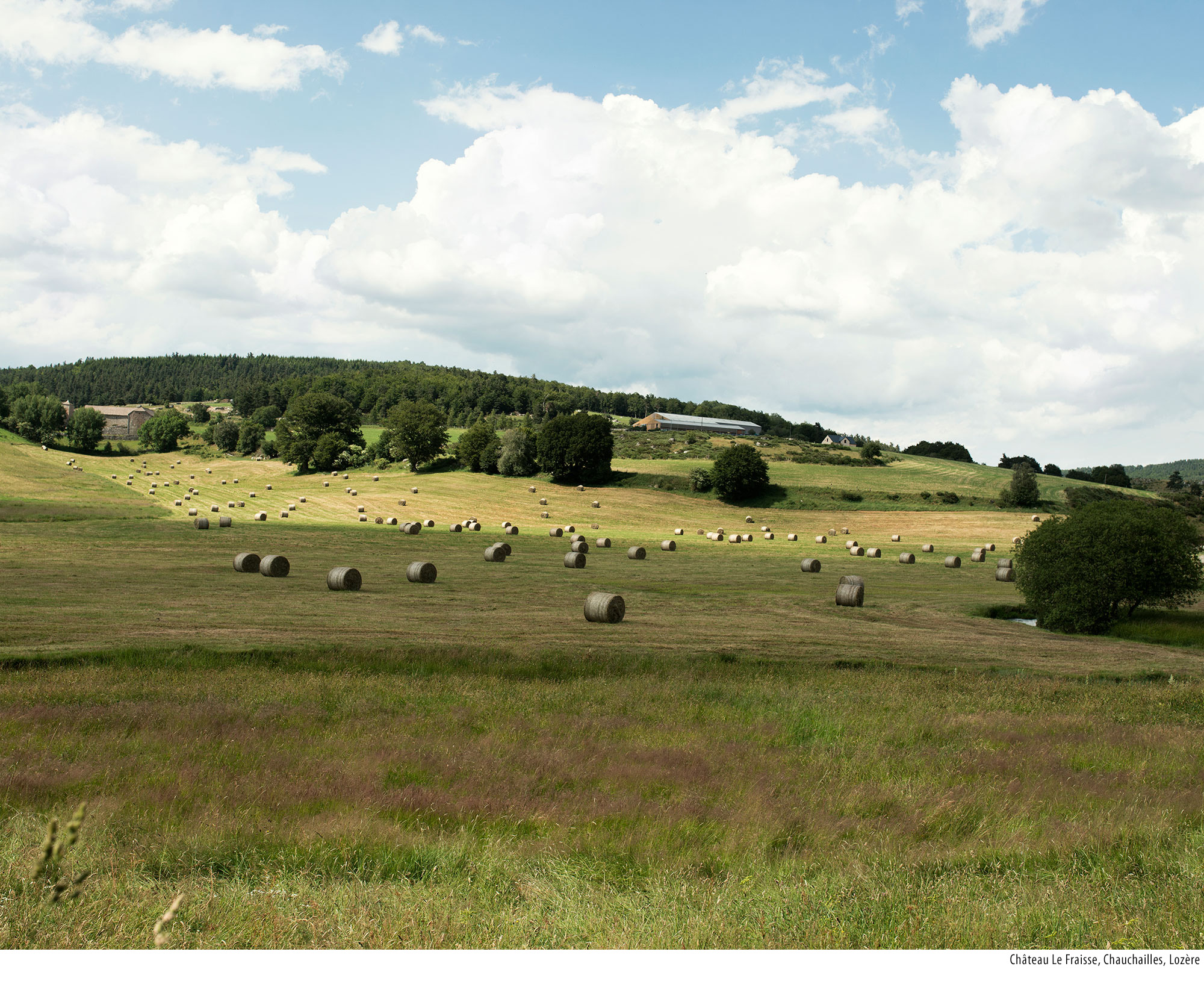 Lozere9